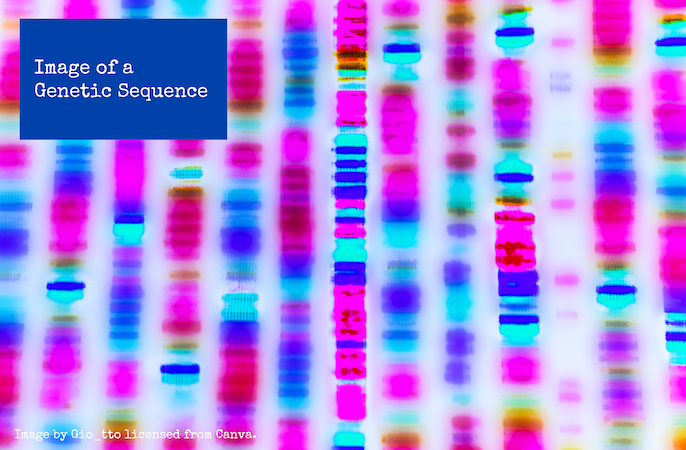 karyotype, gene sequence