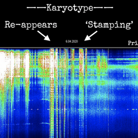 Karyotype, virus, mind control, Schumann Resonance, the energies, Schumann Resonances, Susan Lacerra, susan inspired