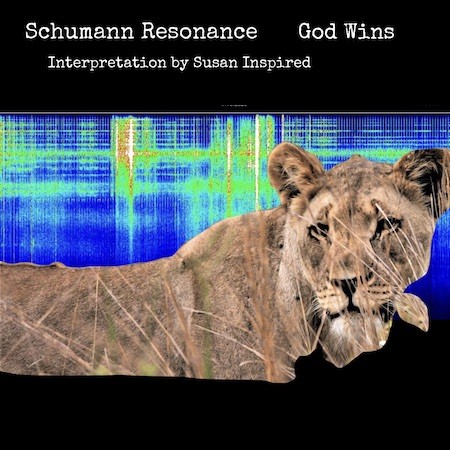 Schumann Resonance, Frequency, Quantum Physics, Human Energy Field, Spirituality, Consciousness, God Wins